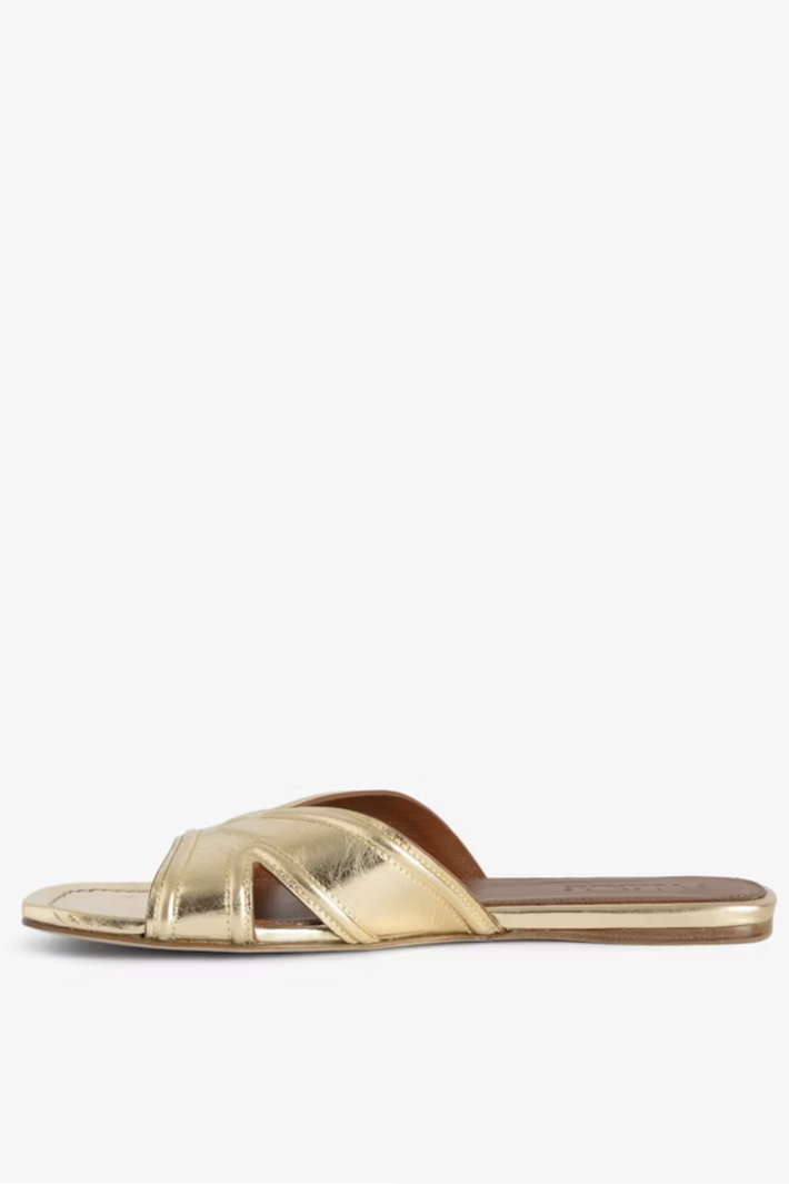 Azora Mules