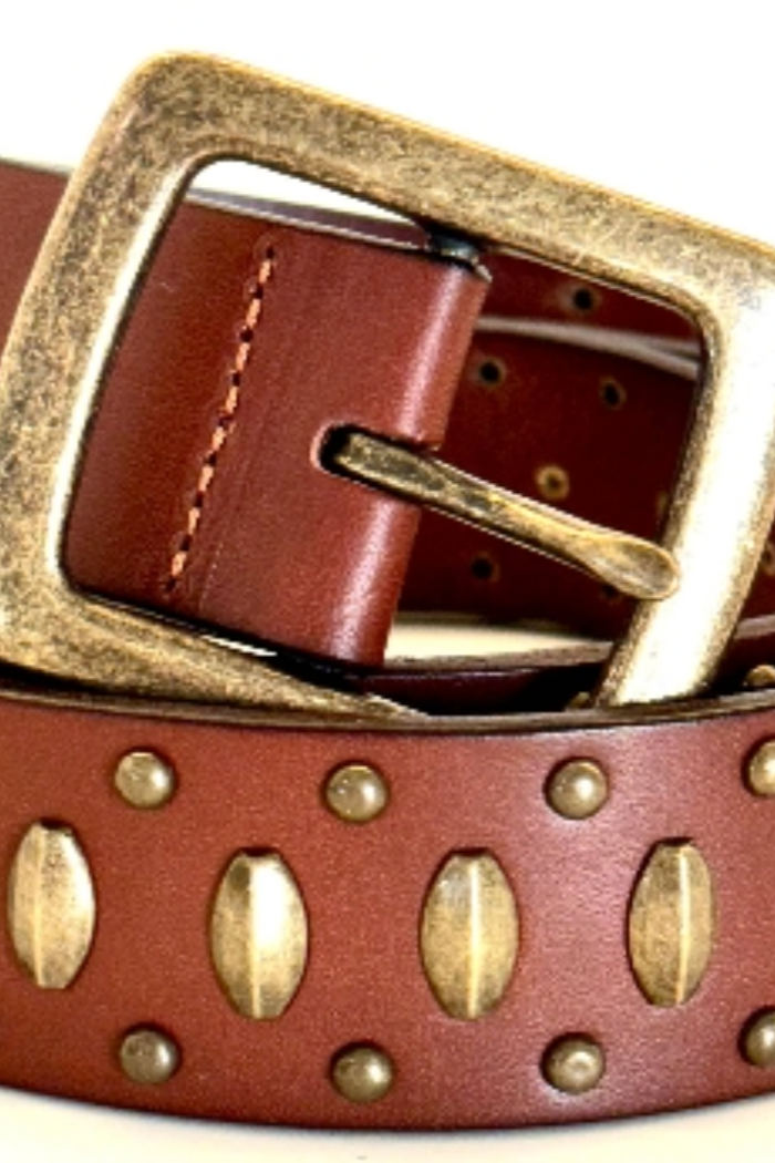 Black Multi misc belts Ginger