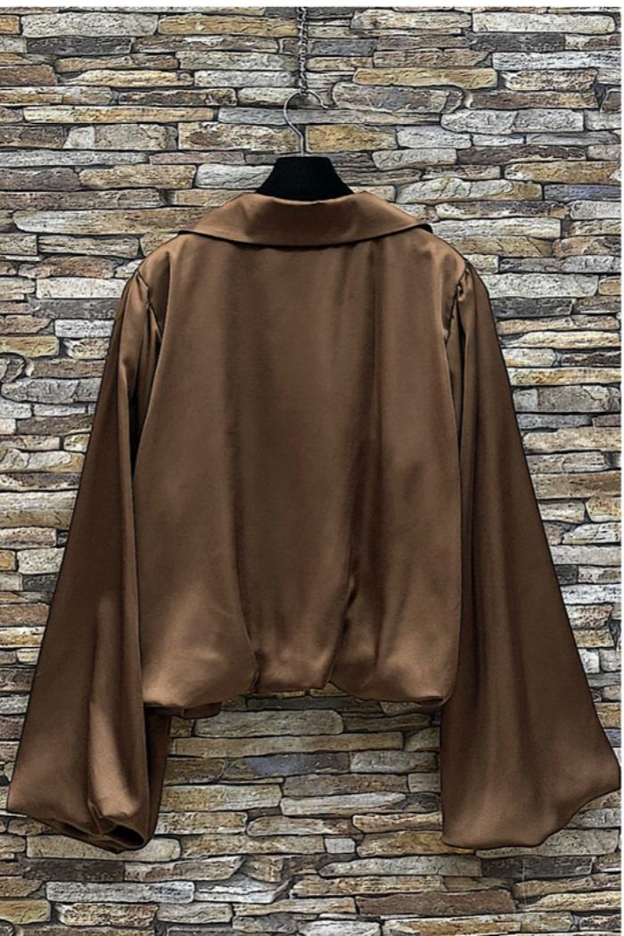 Satin Balloon Sleeve Blouse