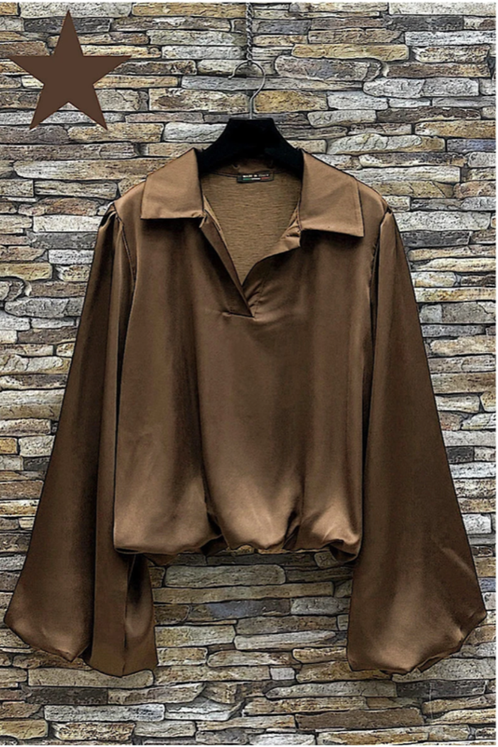 Satin Balloon Sleeve Blouse